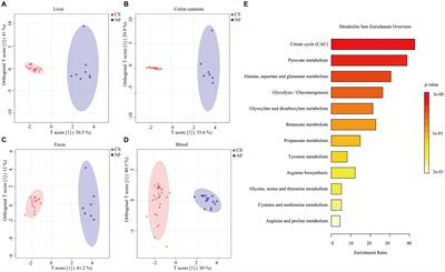 Exploring functional metabolites and proteomics biomarkers in late-preterm and natural-born pigs
